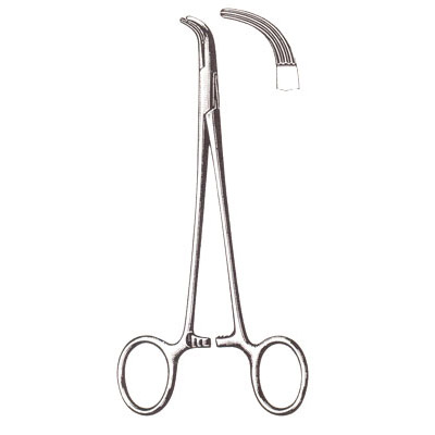 Gall Bladder, Kidney, Urological