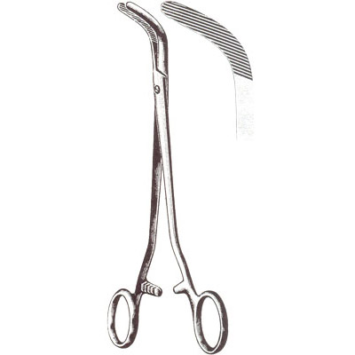Gall Bladder, Kidney, Urological