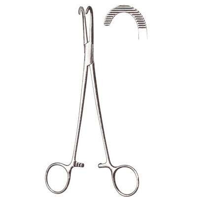 Gall Bladder, Kidney, Urological