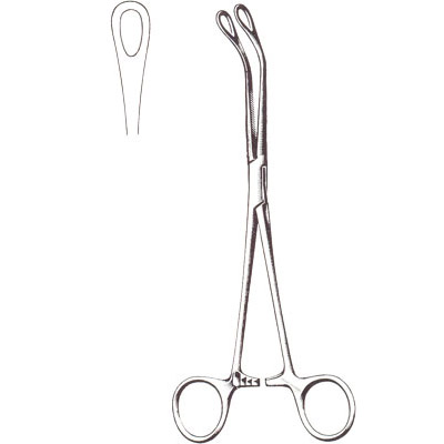 Gall Bladder, Kidney, Urological