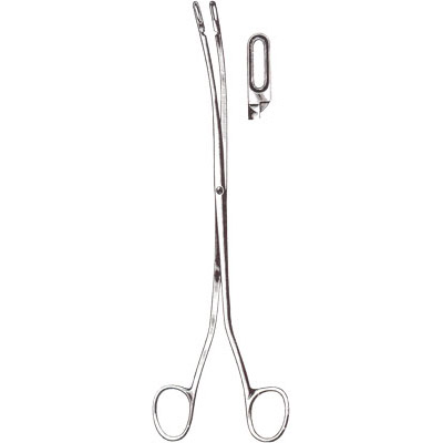 Gall Bladder, Kidney, Urological