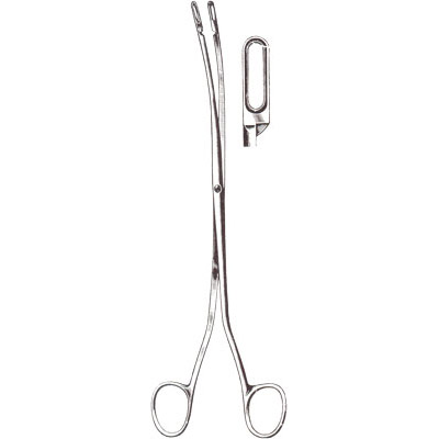 Gall Bladder, Kidney, Urological