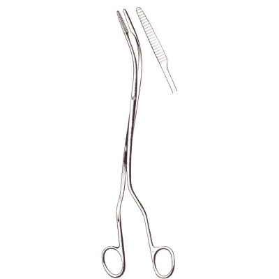 Gall Bladder, Kidney, Urological
