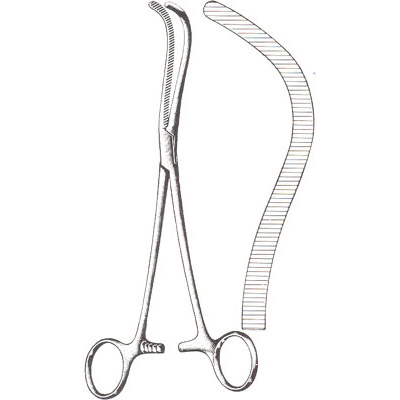 Gall Bladder, Kidney, Urological
