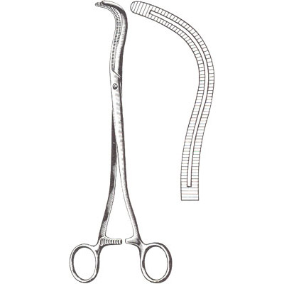 Gall Bladder, Kidney, Urological