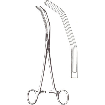 Gall Bladder, Kidney, Urological