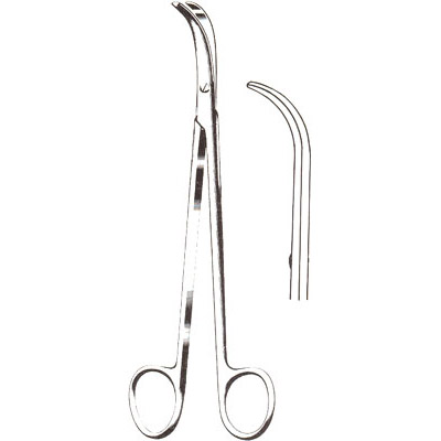 Gall Bladder, Kidney, Urological