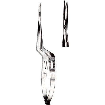 Micro-Neurosurgery