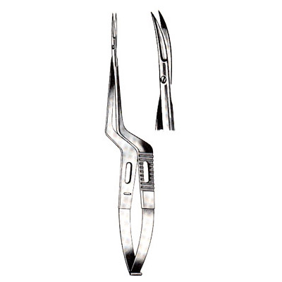 Micro-Neurosurgery