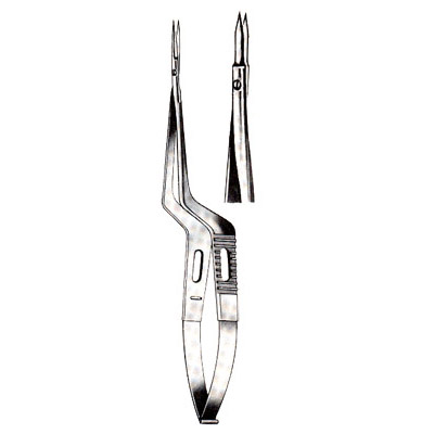 Micro-Neurosurgery