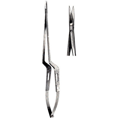 Micro-Neurosurgery