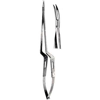 Micro-Neurosurgery