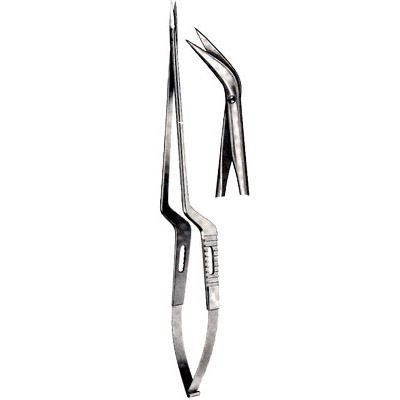 Micro-Neurosurgery