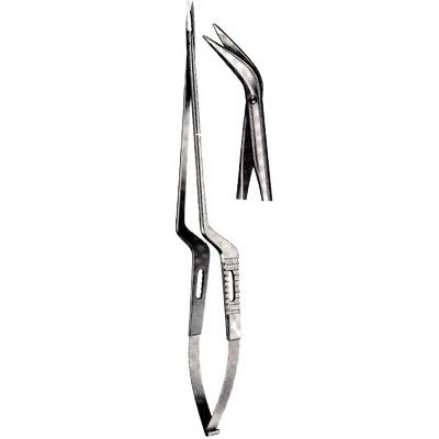Micro-Neurosurgery