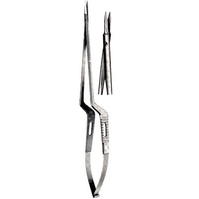 Micro-Neurosurgery
