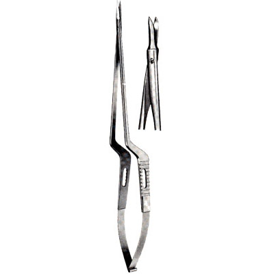 Micro-Neurosurgery
