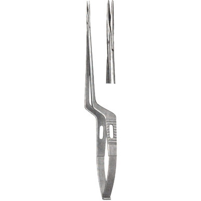 Micro-Neurosurgery