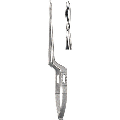 Micro-Neurosurgery