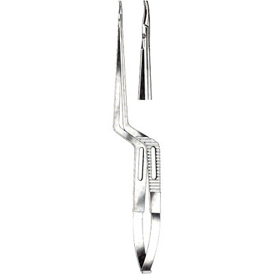 Micro-Neurosurgery