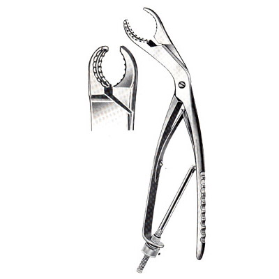 Bone Holding Forceps