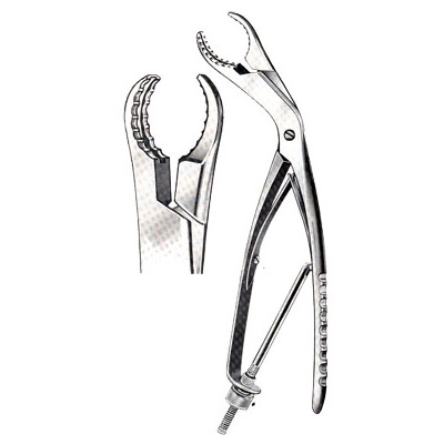 Bone Holding Forceps