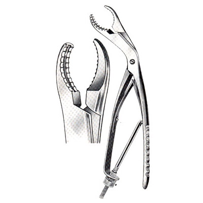 Bone Holding Forceps