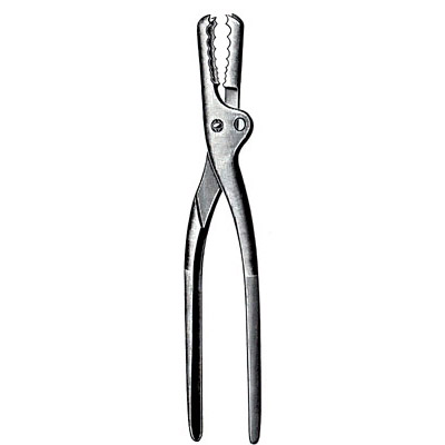 Bone Holding Forceps