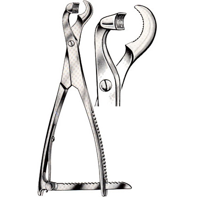 Bone Holding Forceps