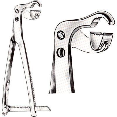 Bone Holding Forceps