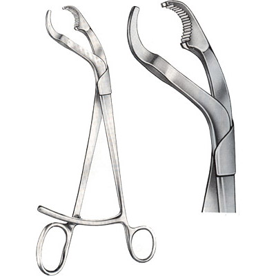 Bone Holding Forceps