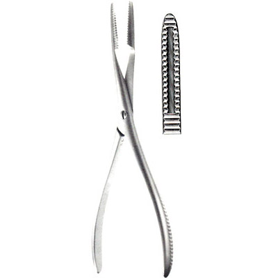 Bone Holding Forceps