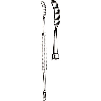 Bone Rasps