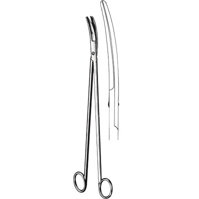 Thoracic Surgery