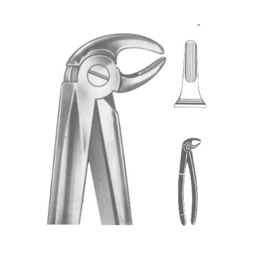 Extracting Forceps English Pattern