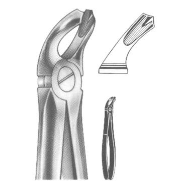 Extracting Forceps English Pattern