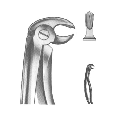 Extracting Forceps English Pattern