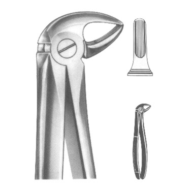Extracting Forceps English Pattern