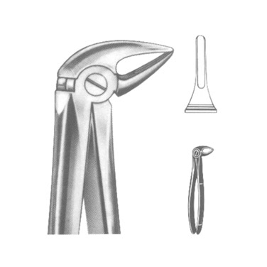 Extracting Forceps English Pattern