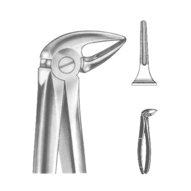 Extracting Forceps English Pattern