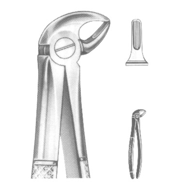 Extracting Forceps English Pattern
