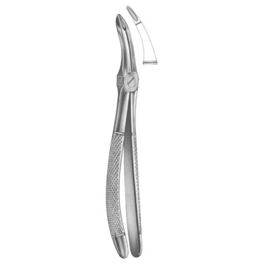 Extracting Forceps English Pattern