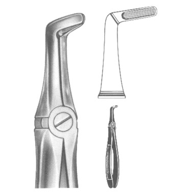Extracting Forceps English Pattern