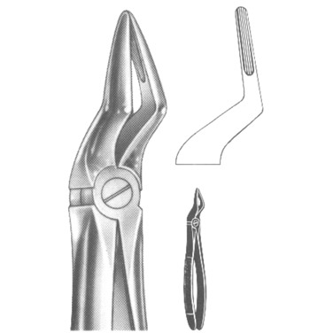 Extracting Forceps English Pattern