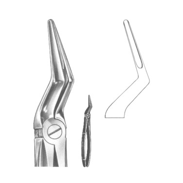 Extracting Forceps English Pattern