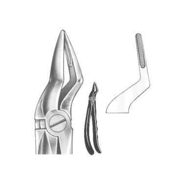 Extracting Forceps English Pattern