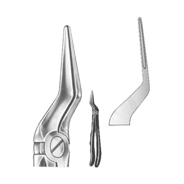 Extracting Forceps English Pattern