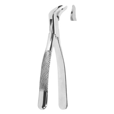  Extracting Forceps American Pattern