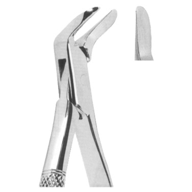  Extracting Forceps American Pattern