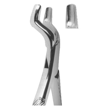  Extracting Forceps American Pattern