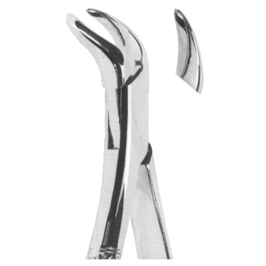  Extracting Forceps American Pattern